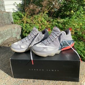 lebron 12 low “earned”